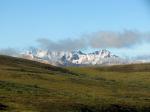 Tundra Wilderness Tour